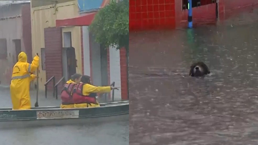Bombeiros e cachorro atravessnado alagamento nas Rocas — Foto: Reprodução/Inter TV Cabugi