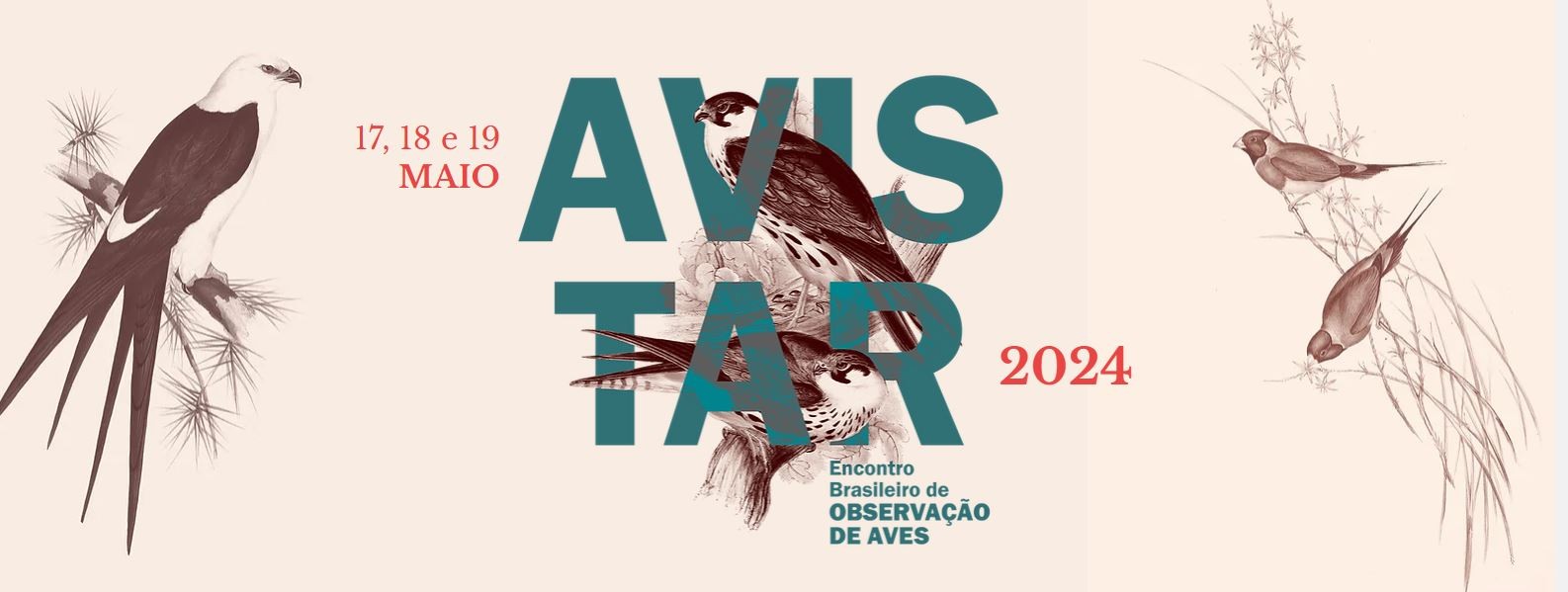 Avistar 2024: saiba mais sobre a 17º edição do maior evento de observação de aves do Brasil