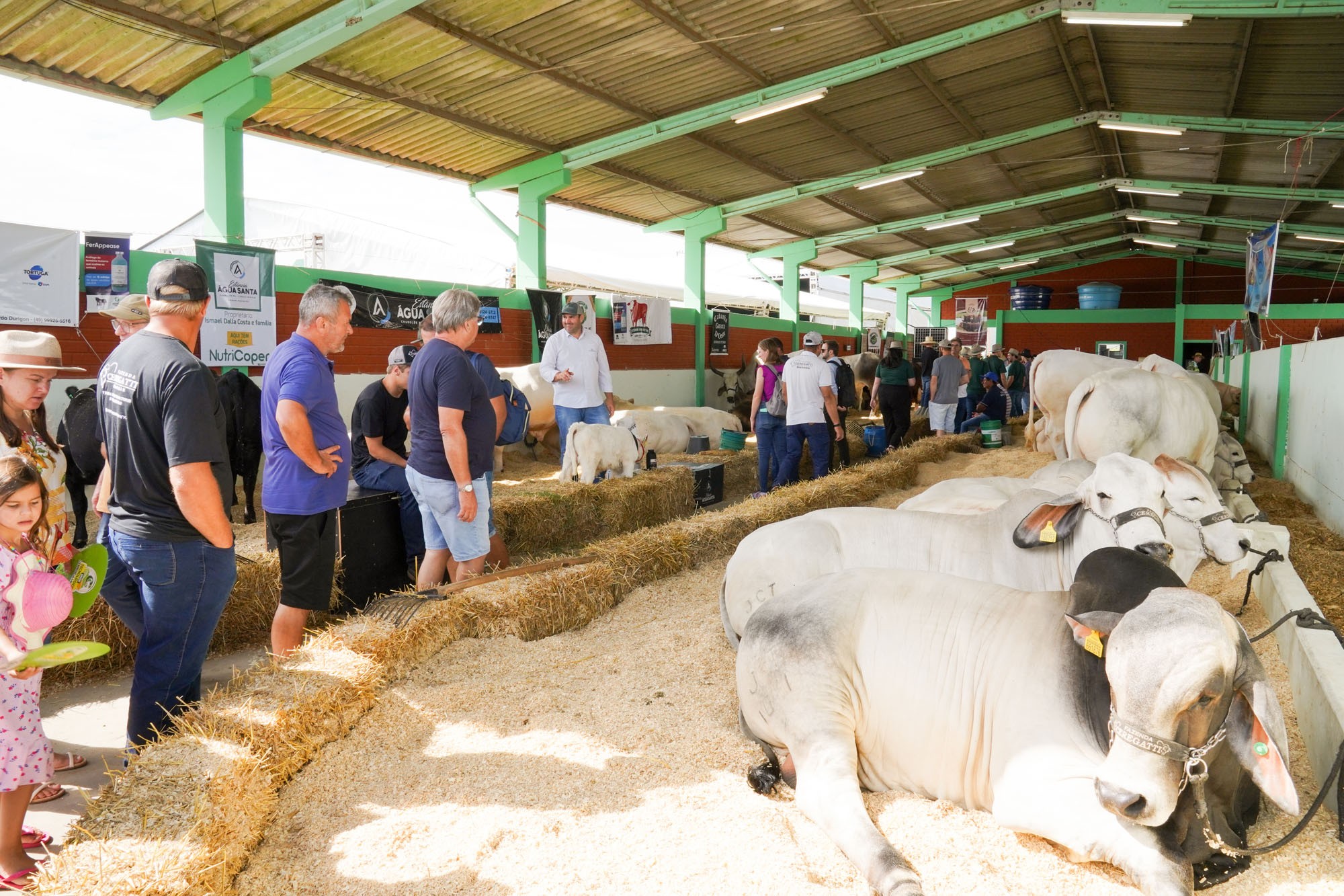 Show Tecnológico Copercampos terá quatro dias de programação em fevereiro