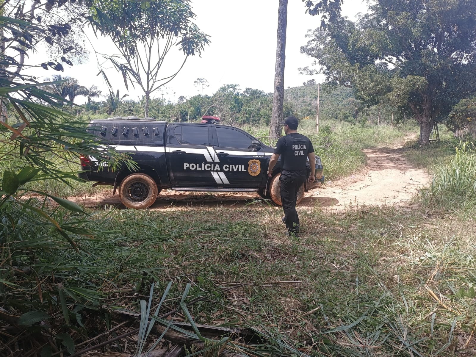 Polícia Civil intensifica ações para apurar denúncias de crimes ambientais em Rurópolis 