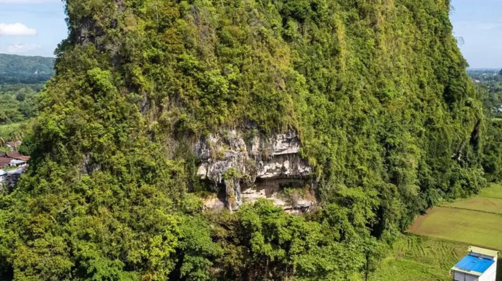 As pinturas foram encontradas nas cavernas da colina Karampuang, na ilha de Sulawesi, na Indonésia — Foto: BRIN GOOGLE ARTS AND CULTURE