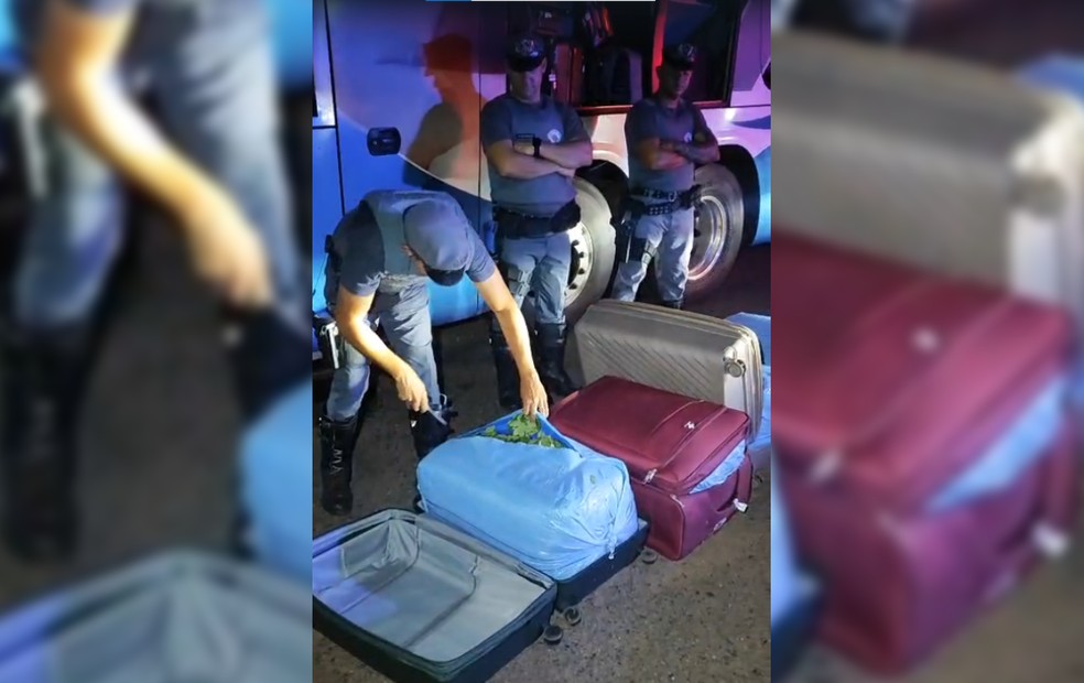 Boliviano é flagrado com mais de 90 kg de folhas de coca em ônibus no interior de SP — Foto: Polícia Rodoviária/Divulgação