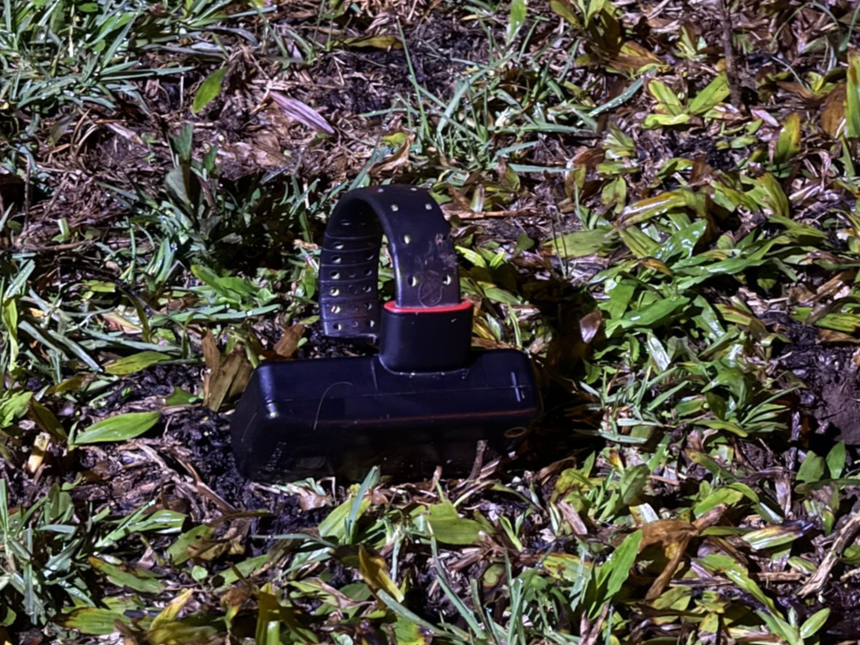 Você Não Tá Convidada pro Meu Bat Mitzvá!