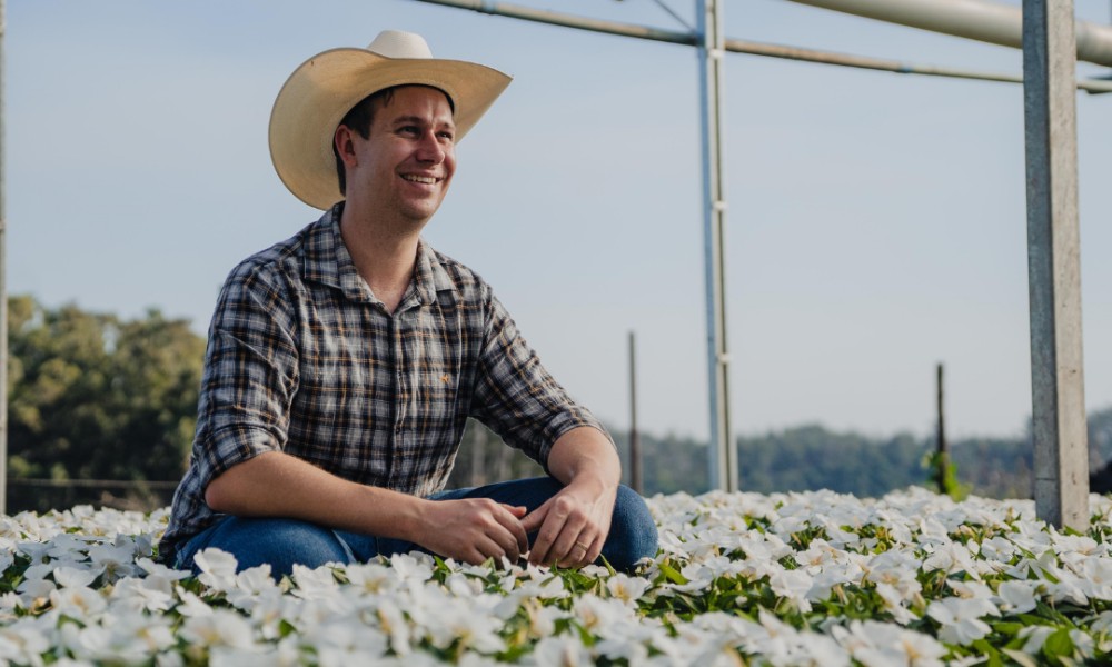 Com sustentabilidade na prática, Sicoob transforma comunidades com cooperativismo