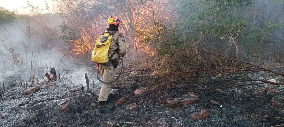 Incêndio atinge área de caatinga em três municípios do Sertão da Paraíba. — Foto: Corpo de Bombeiros do Sertão da Paraíba