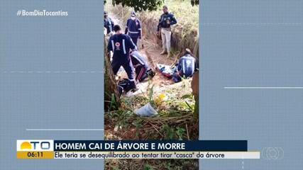 Homem morre ao tentar retirar casca de árvore e cair no chão
