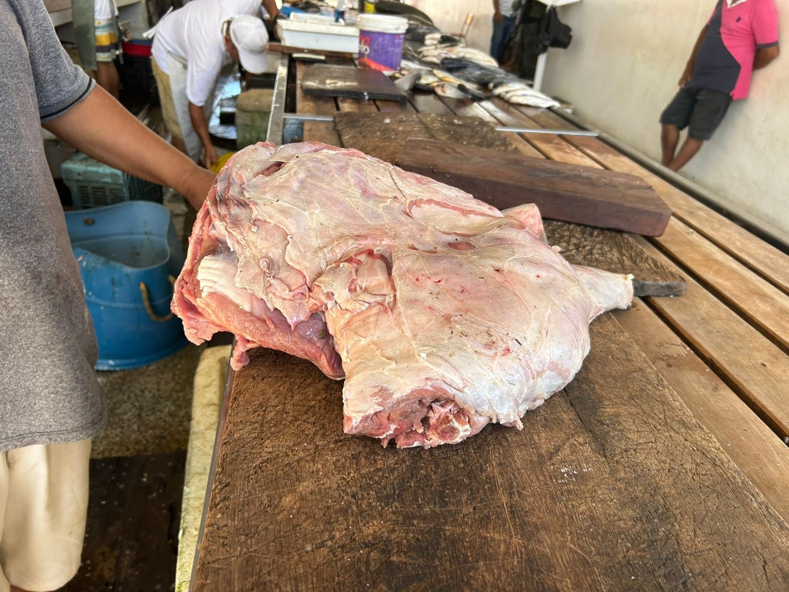 Ipaam apreende 10 kg de carne de capivara em mercado no interior do AM