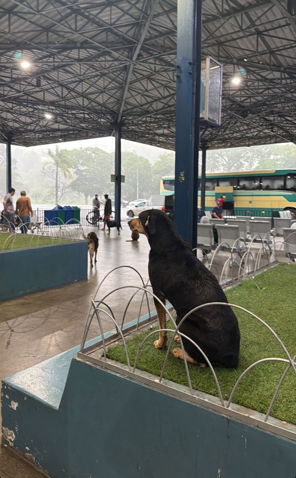 Chuva em Formiga - 23-01-2026 — Foto: Kelvin Mardem/Divulgação