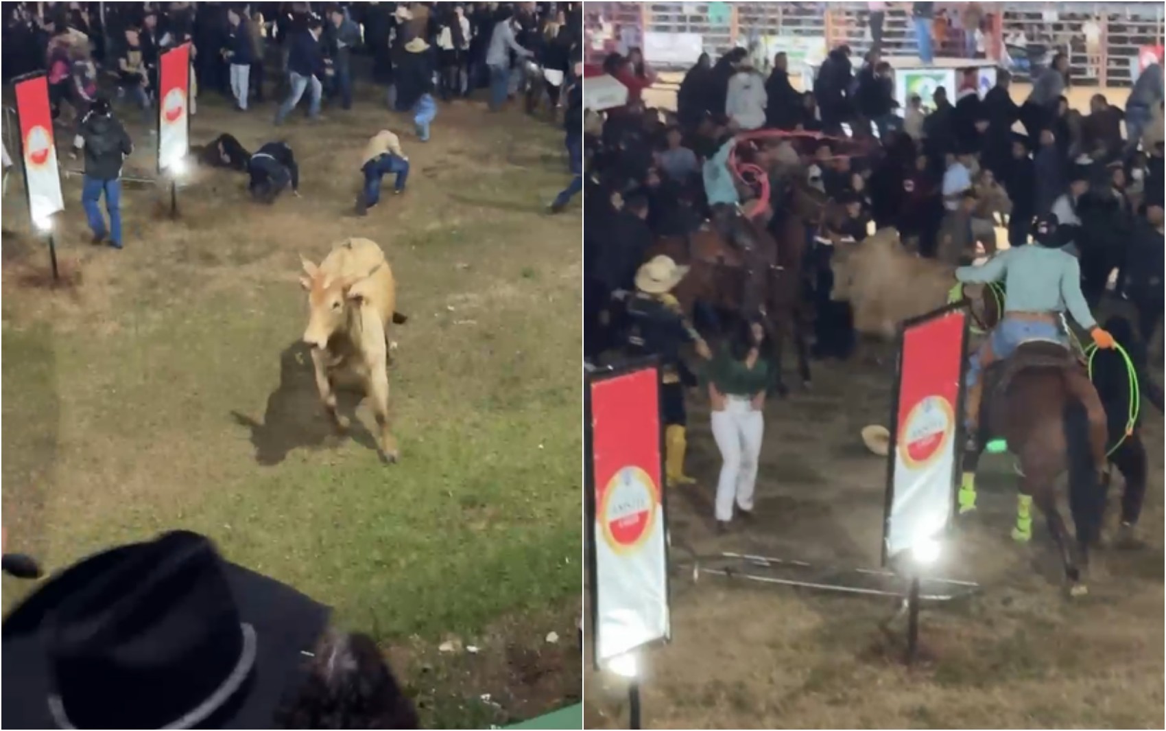VÍDEO: Touro escapa de arena, invade área do público e deixa feridos em Festa do Peão, em MG