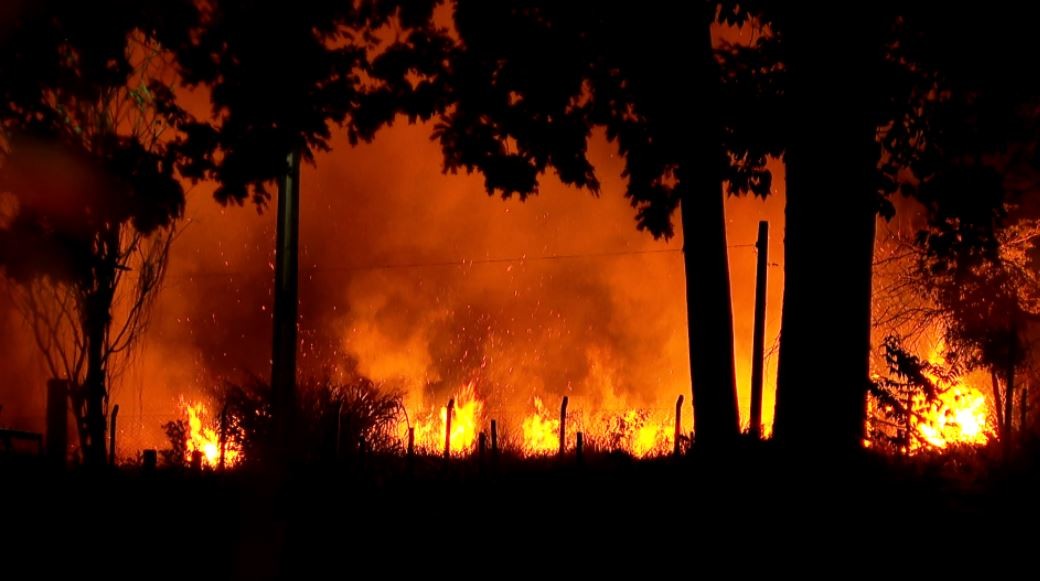 Estado de SP tem 8 cidades com focos ativos de incêndio nesta quarta