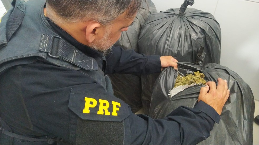 PRF apreende mais de 150 quilos de maconha em Sertânia — Foto: Reprodução