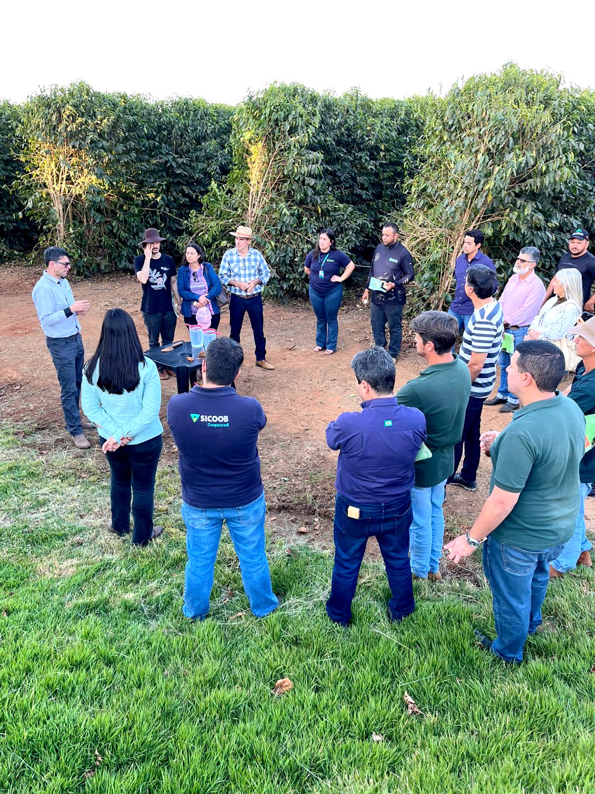 BDMG abre inscrições para capacitação gratuita em agricultura regenerativa com foco em pecuária bovina e pastagens