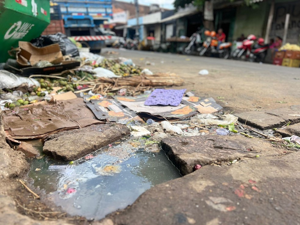 Com pior saneamento do Ceará, moradores de Juazeiro do Norte enfrentam problemas de saúde — Foto: Patrícia Silva/TV Verdes Mares