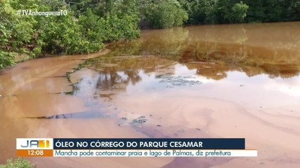 Óleo no rio do Parque Cesamar pode contaminar praia e lago de Palmas, diz Guarda Ambiental