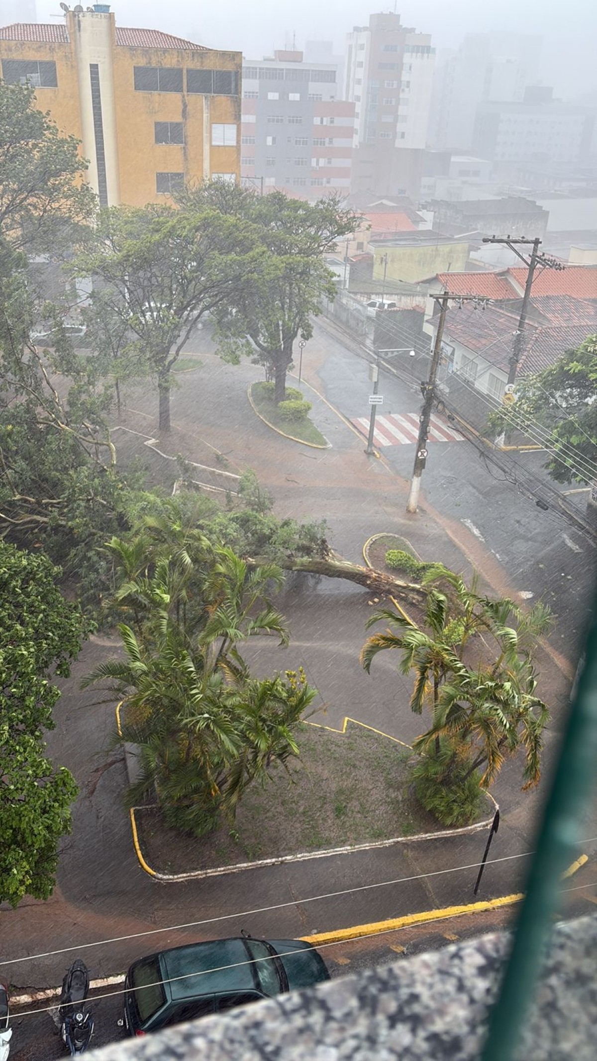 VÍDEO: Chuva com vendaval e granizo provoca queda de árvores e falta de energia em Pará de Minas 