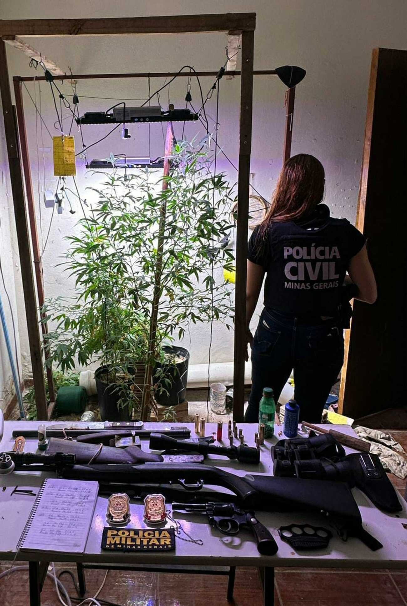 Armas e estufa com pé de maconha são apreendidas em casa de suspeito de estuprar a sobrinha
