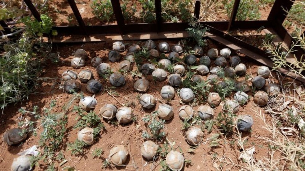 Muitas submunições não explodem imediatamente e criam uma espécie de 'campo minado' — Foto: REUTERS