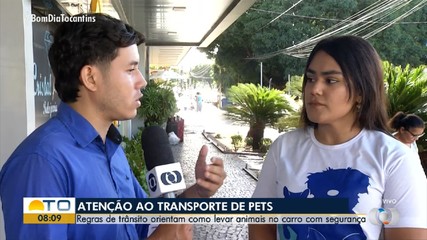 Regras de trânsito orientam como levar animais no carro com segurança