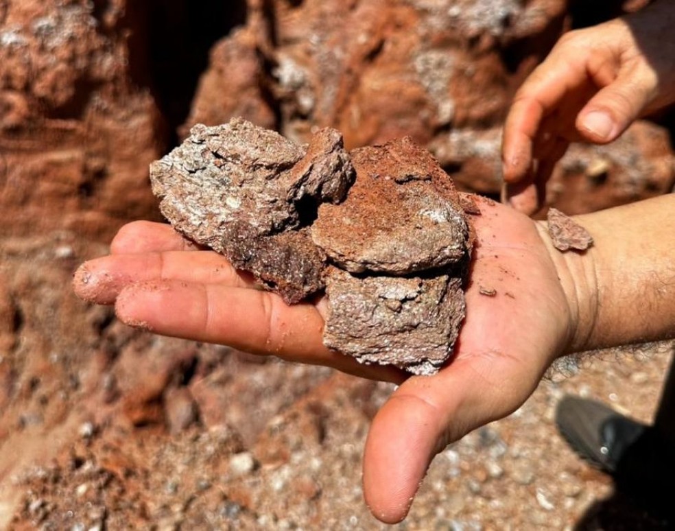 Além de esmeraldas, foram encontrados outros minerais como rutilo (óxido de titânio), zircão (zirconita), sodalita, quartzo — Foto: Divulgação/Ameto