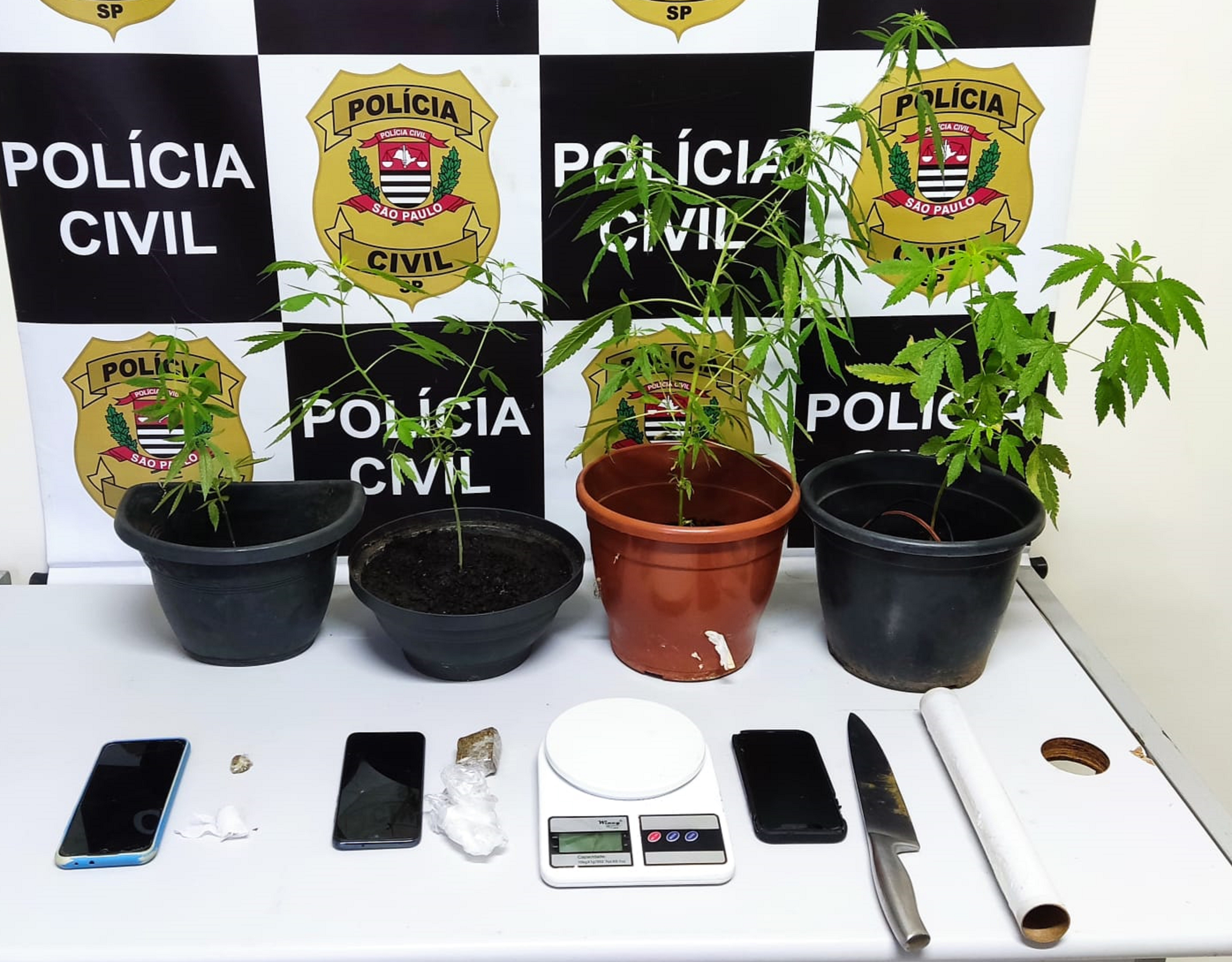 Dupla é presa com porções e pés de maconha durante operação policial, em Presidente Prudente