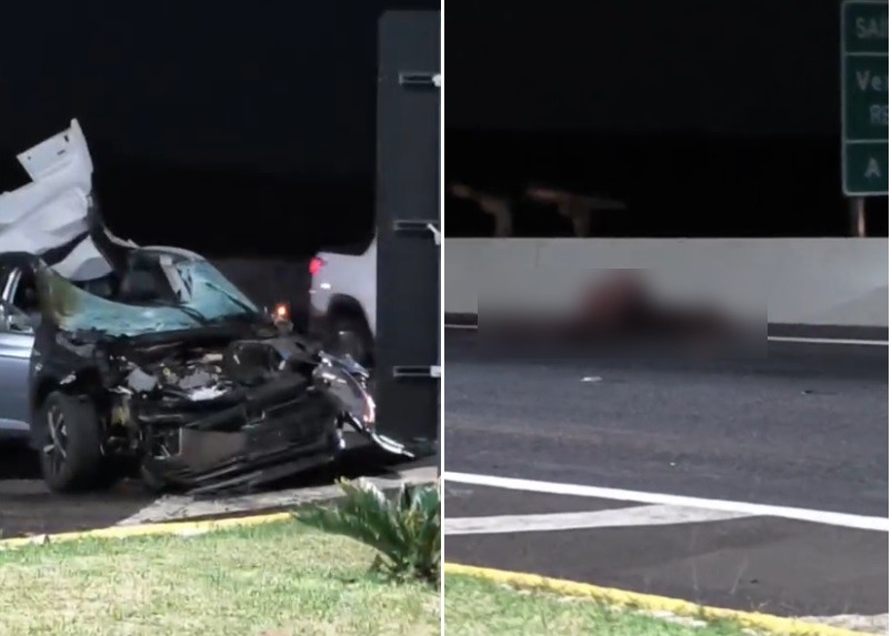 Cavalo morre após ser atropelado por carro em rodovia no interior de SP 
