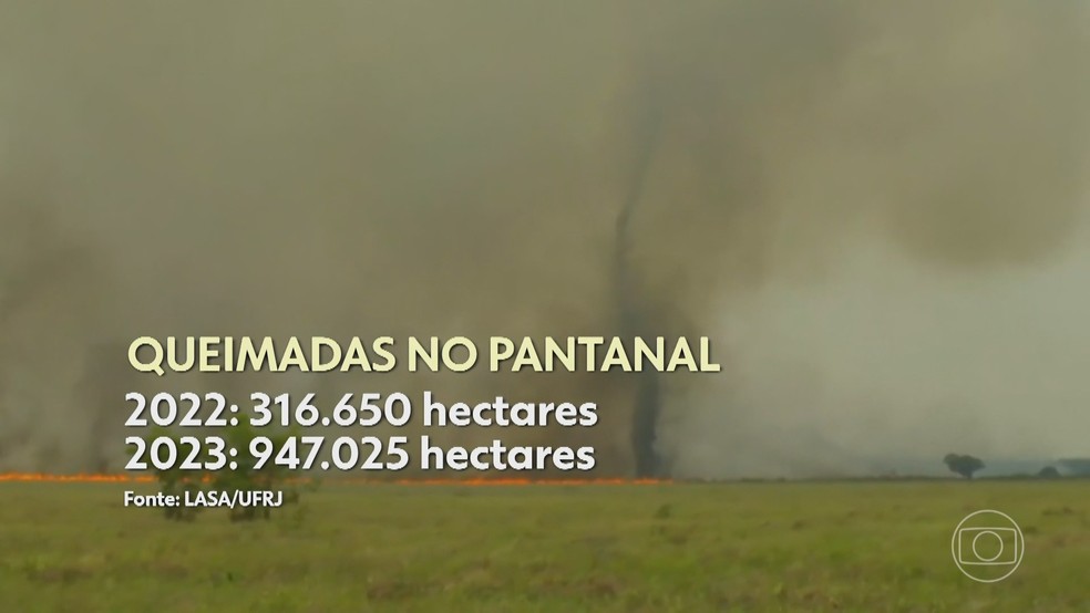 De janeiro a novembro, o Pantanal registrou o triplo de hectares queimados em todo 2022. — Foto: Reprodução/Jornal Hoje