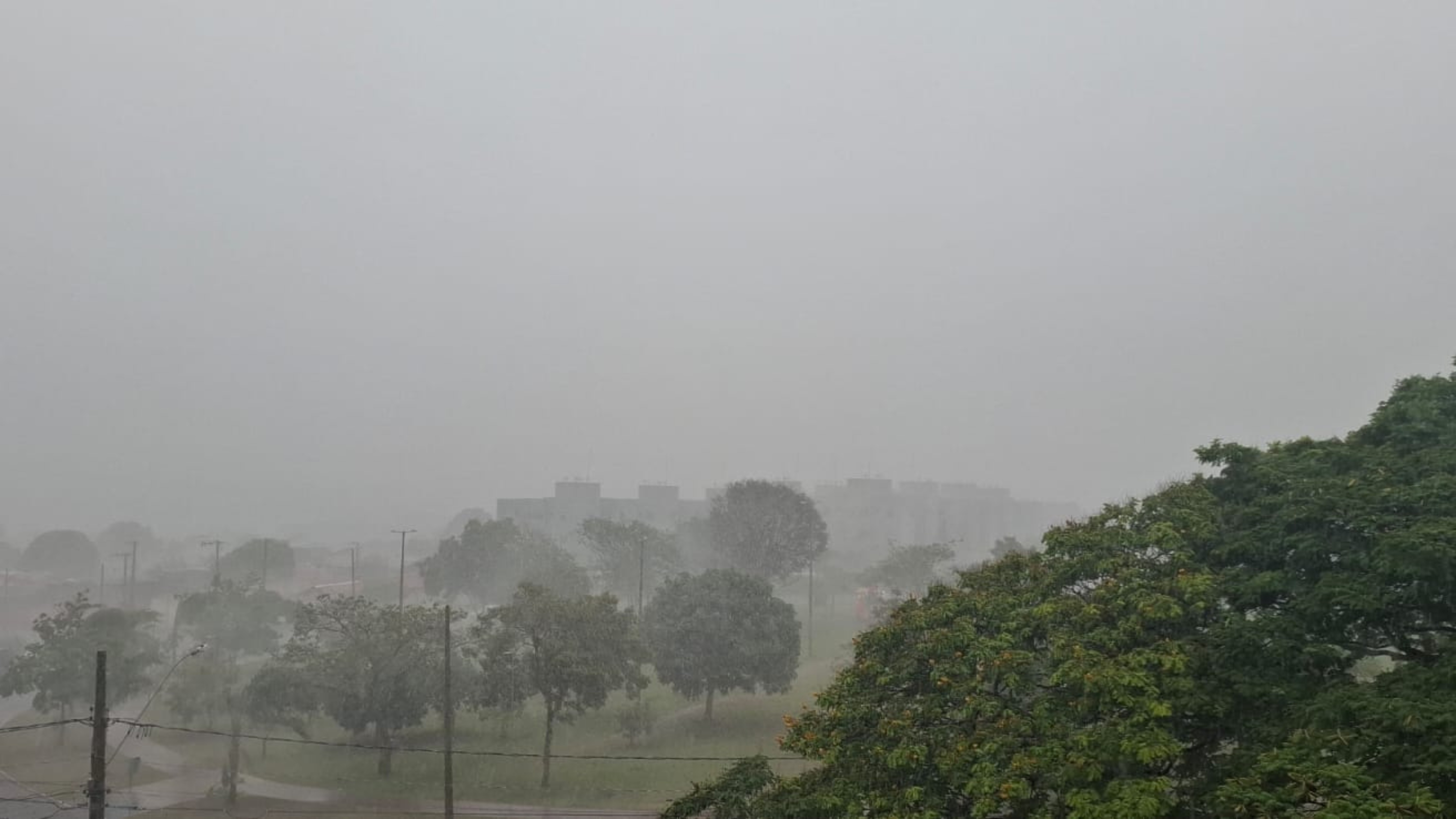 Chuvas de até 100 mm e ventos de 60 km/h; confira como fica o clima na região nos próximos dias