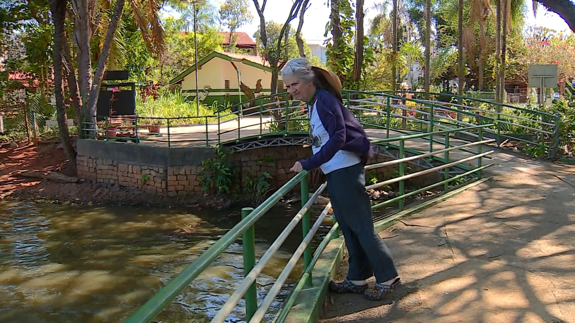 Prefeitura ilumina Parque Ecológico de Barão Geraldo, em Campinas, mas especialista aponta riscos à fauna