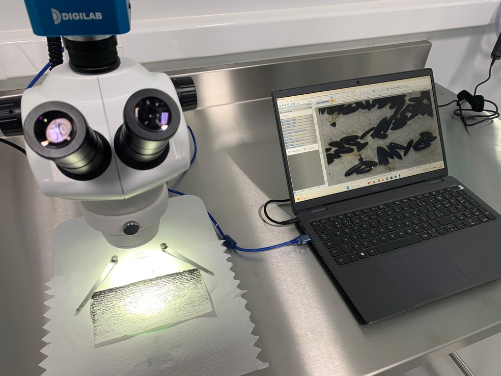 Porto Velho recebe nova tecnologia para combater arbovirose. &mdash; Foto: Wolbito do Brasil