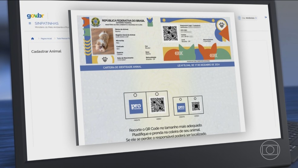 Veja como vai funcionar o cadastro nacional gratuito para cães e gatos — Foto: Jornal Nacional/ Reprodução