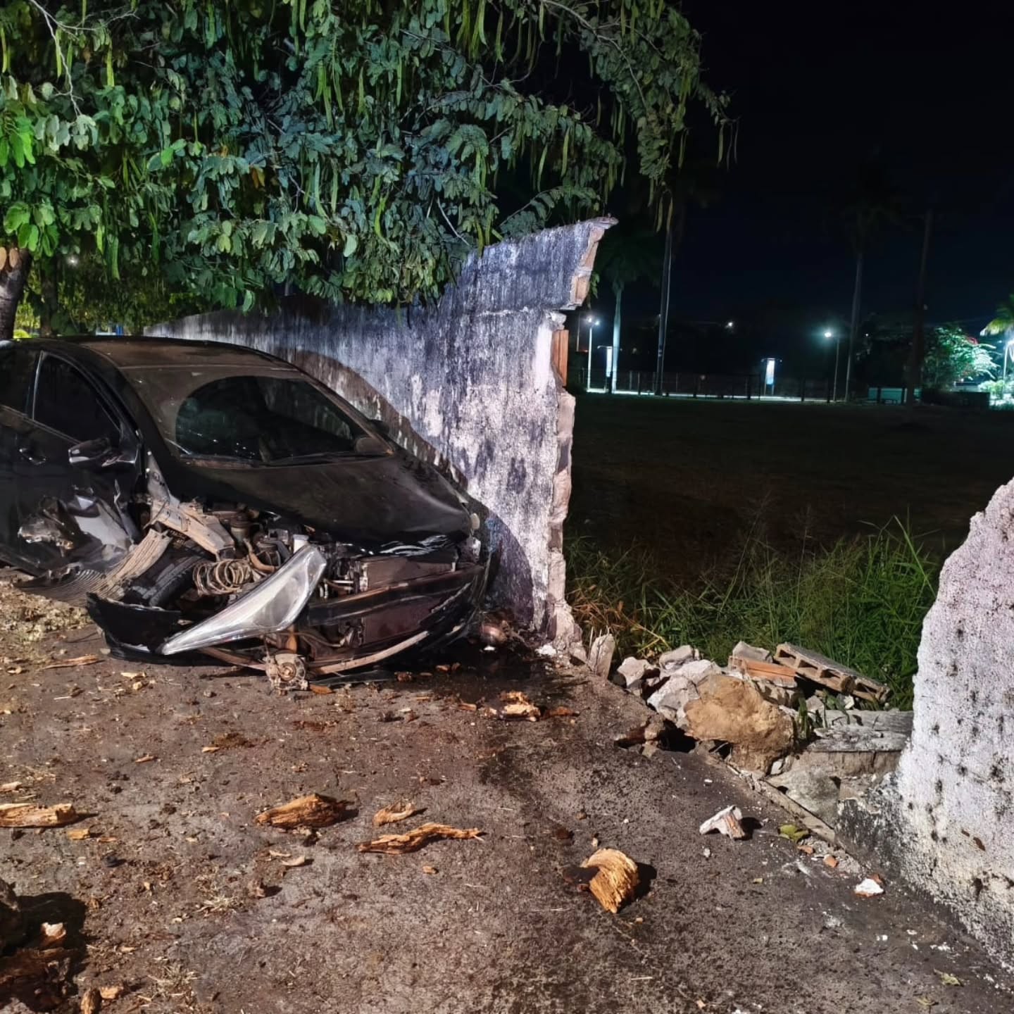 Carro bate em árvore e derruba parte do muro de hotel em Pir