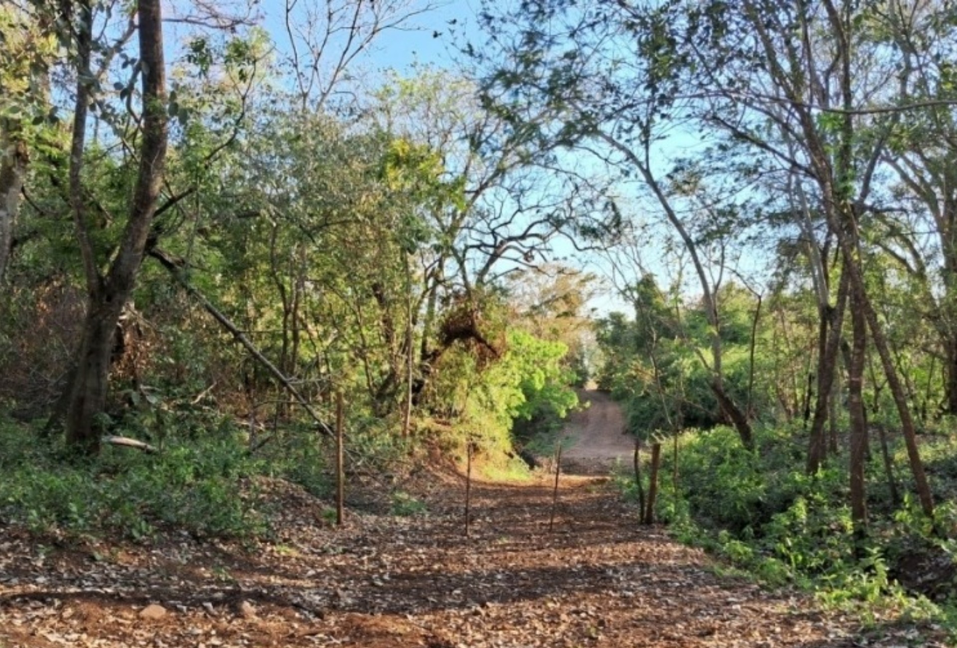 Estrada bloqueada em MS revolta moradores e MP abre investigação