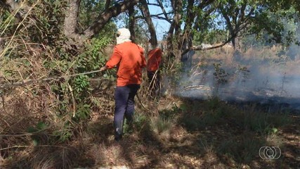 Agentes da Defesa Civil de Palmas vão às ruas para conter pequenos focos de incêndio