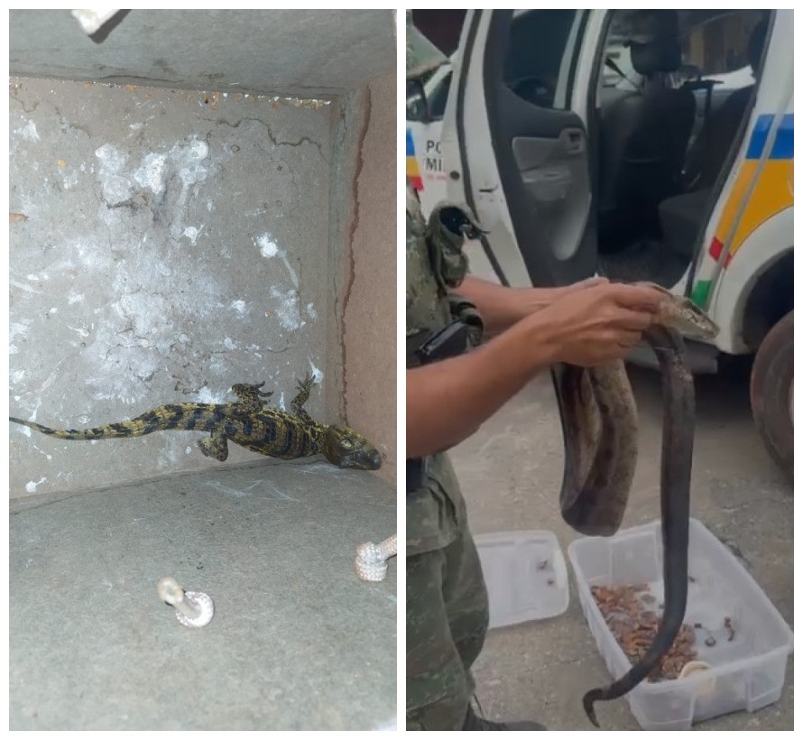 Você Não Tá Convidada pro Meu Bat Mitzvá!