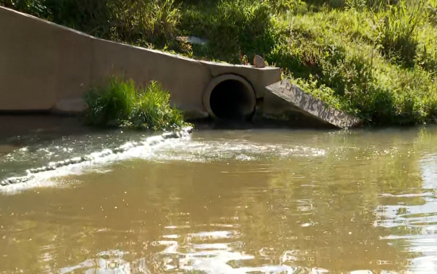 Você Não Tá Convidada pro Meu Bat Mitzvá!