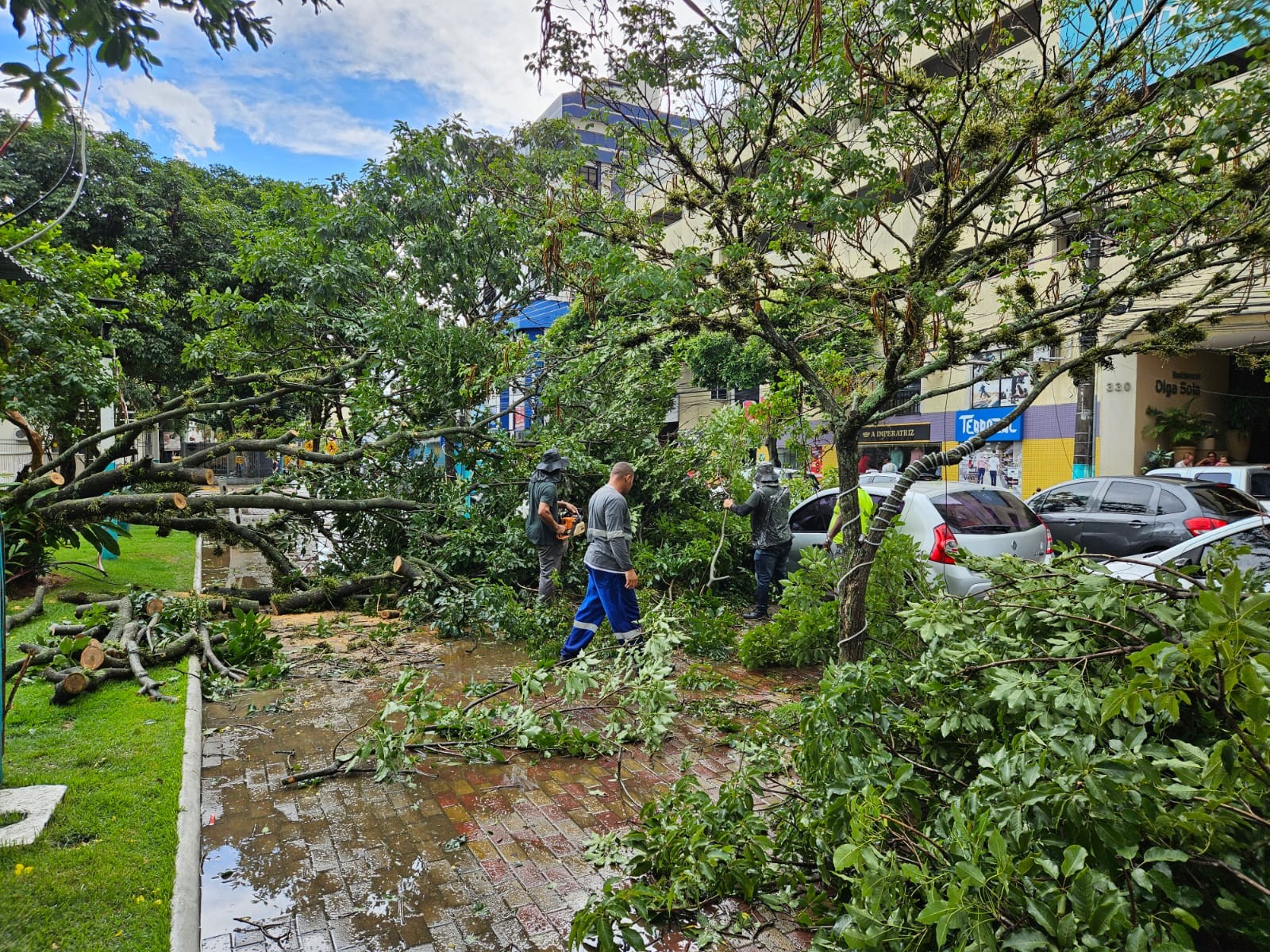 Chuva com ventos fortes e granizo derruba árvores em Três Rios; Veja vídeo