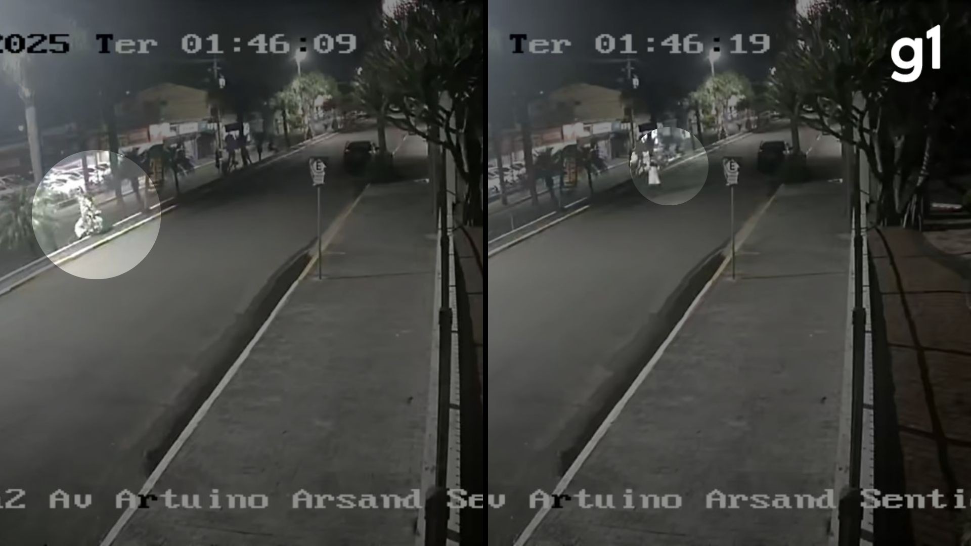 VÍDEO: Mulher furta pinheirinho de Natal em avenida comercial no RS