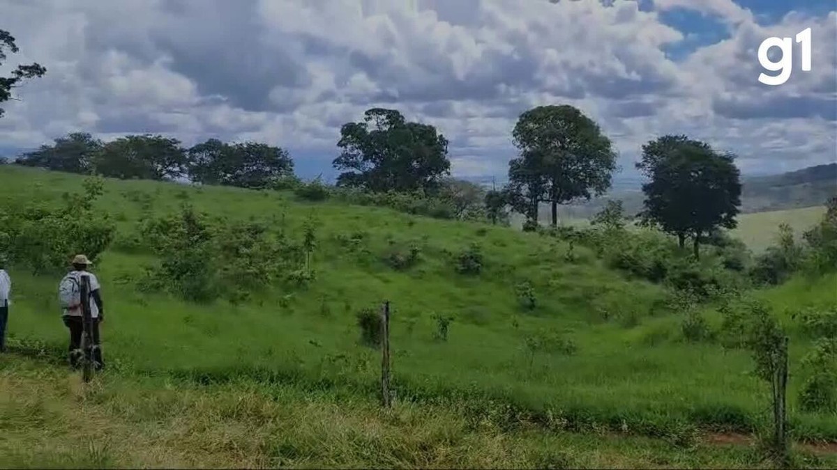 Após 7 Dias De Buscas Corpo De Idoso Que Desapareceu Após Ir Para Fazenda Em Carmo Do Paranaíba 