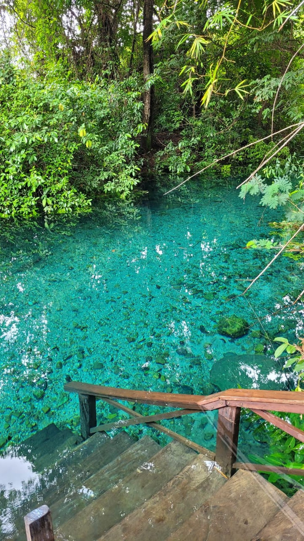 Imagem Osmane Silva/Divulgação