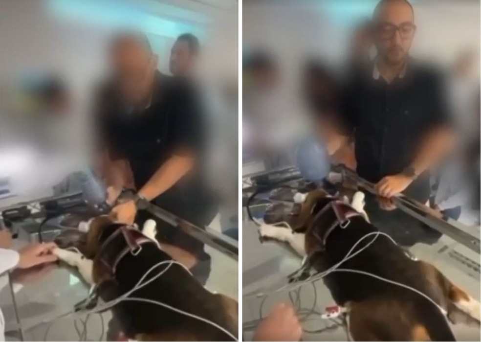Veterinário diz em vídeo que provocou parada respiratória em cachorro — Foto: Reprodução
