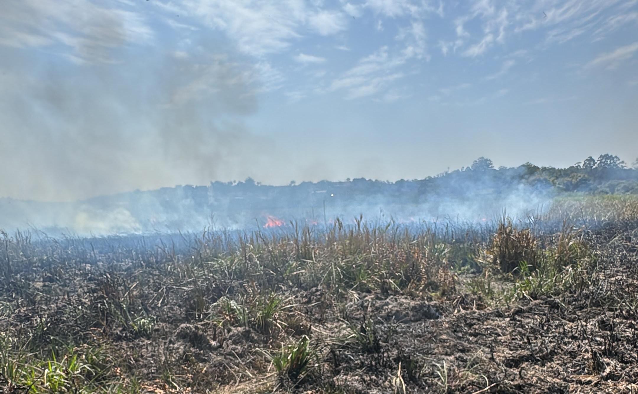 Incêndio atinge área de mata de cerca de 2 mil metros quadrados em Itaquaquecetuba