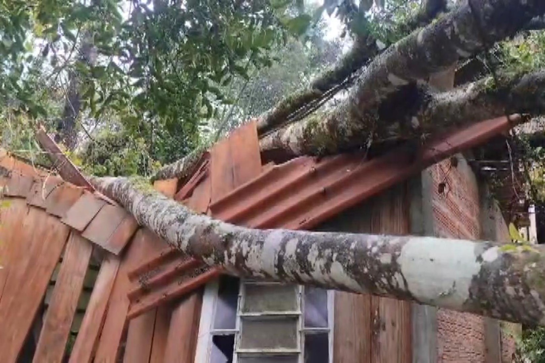 Temporal causa estragos em Curitiba e RMC, com queda de postes