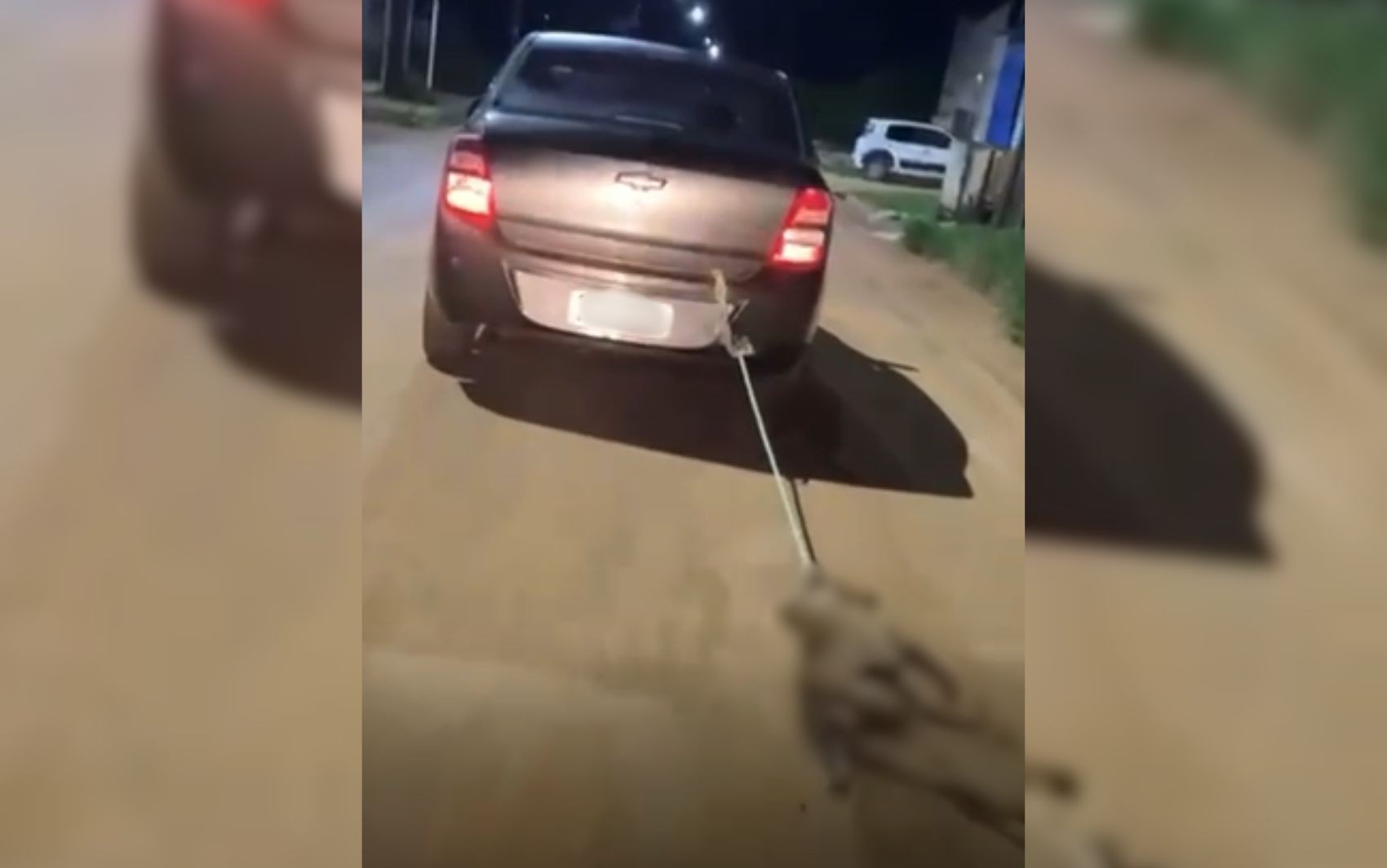 Cachorro é morto a marretadas e tem corpo arrastado pelas ruas, diz polícia