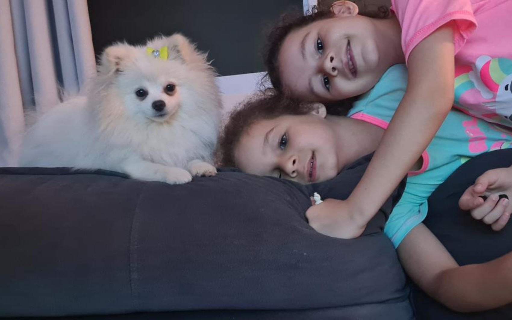 Meninas usam redes sociais para pedir ajuda e achar cachorrinha que fugiu de casa em Barretos, SP