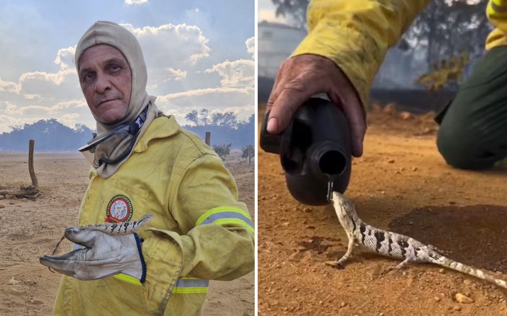 Brigadista que deu água para lagarto durante incêndio é voluntário há três anos: 'Obejtivo era salvar o bichinho'