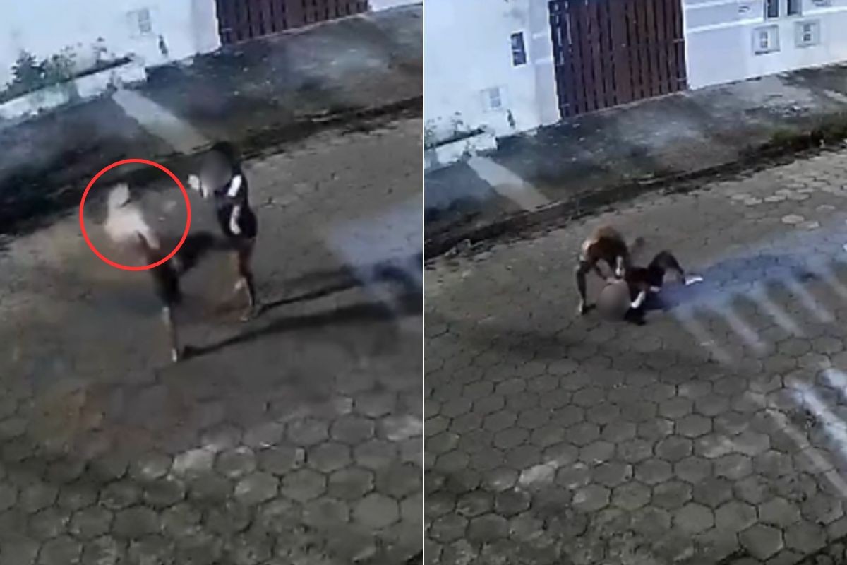 Homem que espancou companheira no meio da rua é preso no litoral de SP; câmera flagrou agressão 