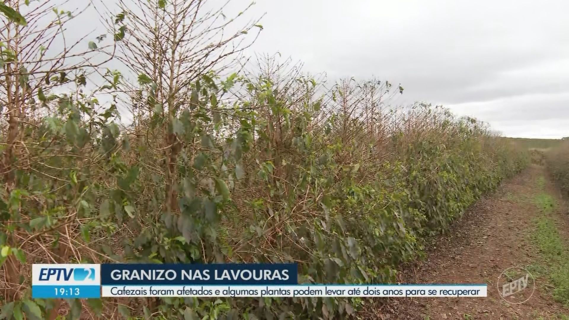 VÍDEOS: EPTV 2 Sul de Minas de quinta-feira, 17 de setembro de 2026