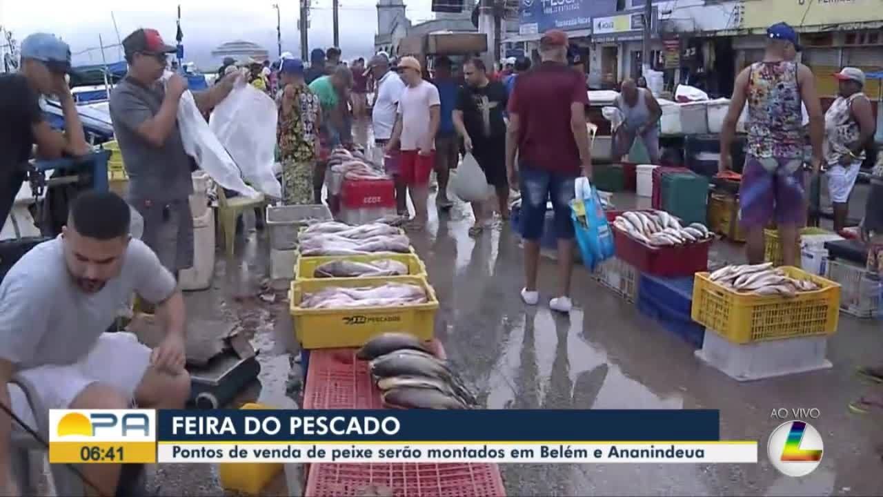 VÍDEOS: Bom Dia Pará de segunda-feira, 22 de março de 2024