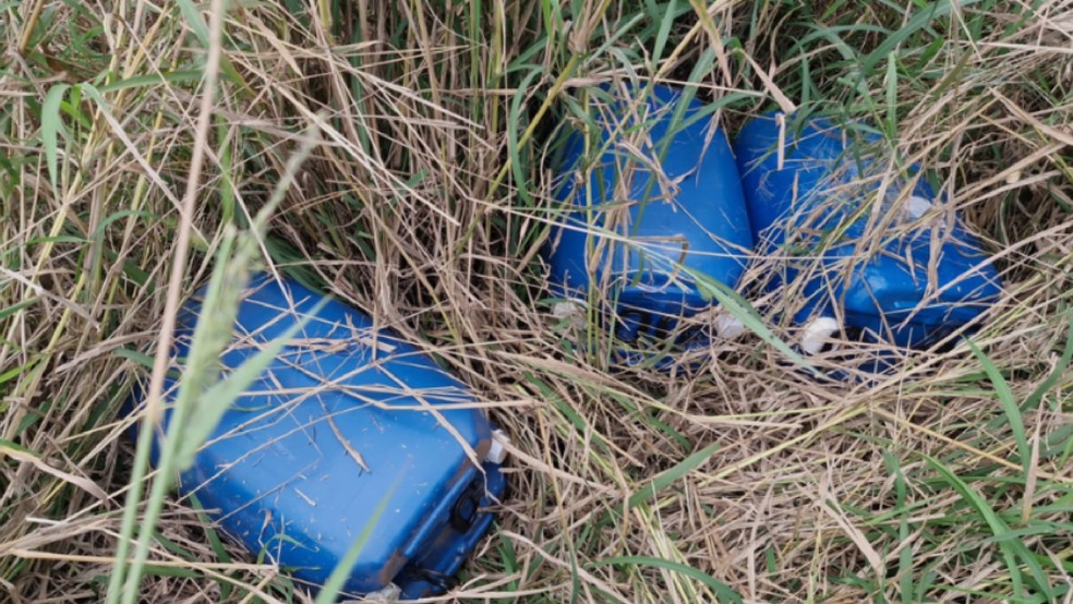 2 de 2
Policiais localizaram gal&otilde;es contendo aproximadamente 200 litros de &oacute;leo de v&iacute;sceras em Itapu&iacute; (SP) &mdash; Foto: Pol&iacute;cia Militar