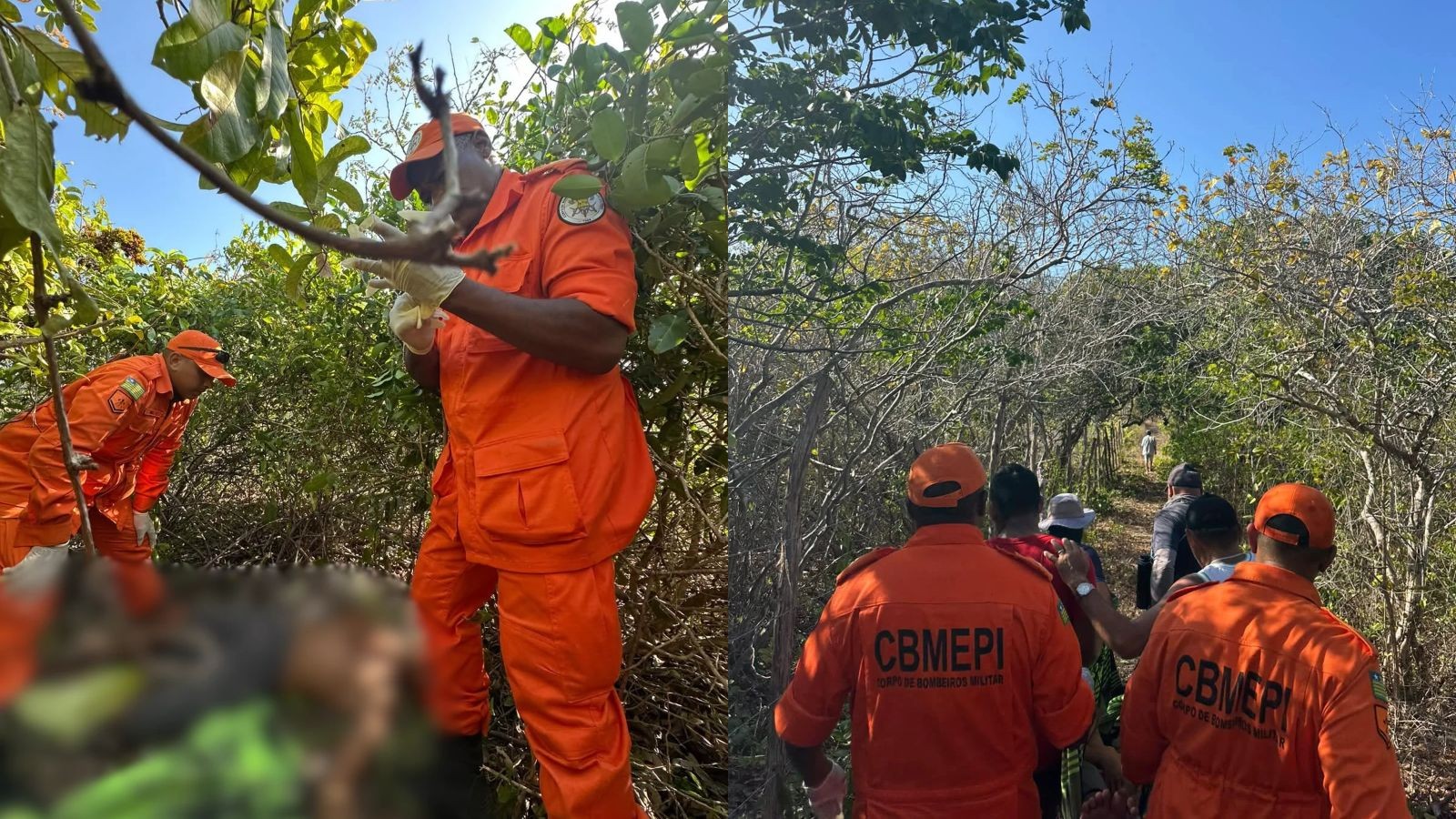 Homem desaparecido há dois dias é encontrado vivo em área de mata no litoral do Piauí